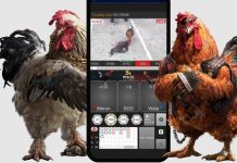 Đá gà EK88 uy tín, an toàn và trả thưởng siêu khủng 2023 Đá gà EK88 cung cấp nhiều mức cược khác nhau cho người chơi lựa chọn