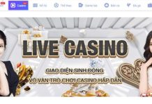 Link Vào EK88 Casino – Tận Hưởng Ngay Kho Game Hấp Dẫn Trải nghiệm các trò chơi live casino ek88 hấp dẫn